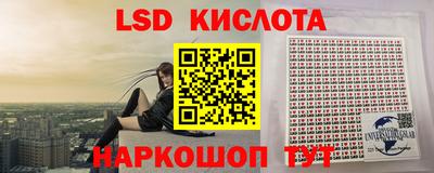 jwh Бийск