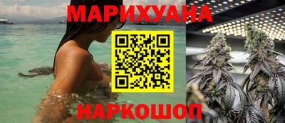 jwh Бийск