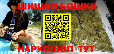 jwh Бийск