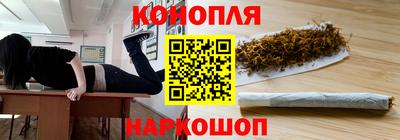 jwh Бийск