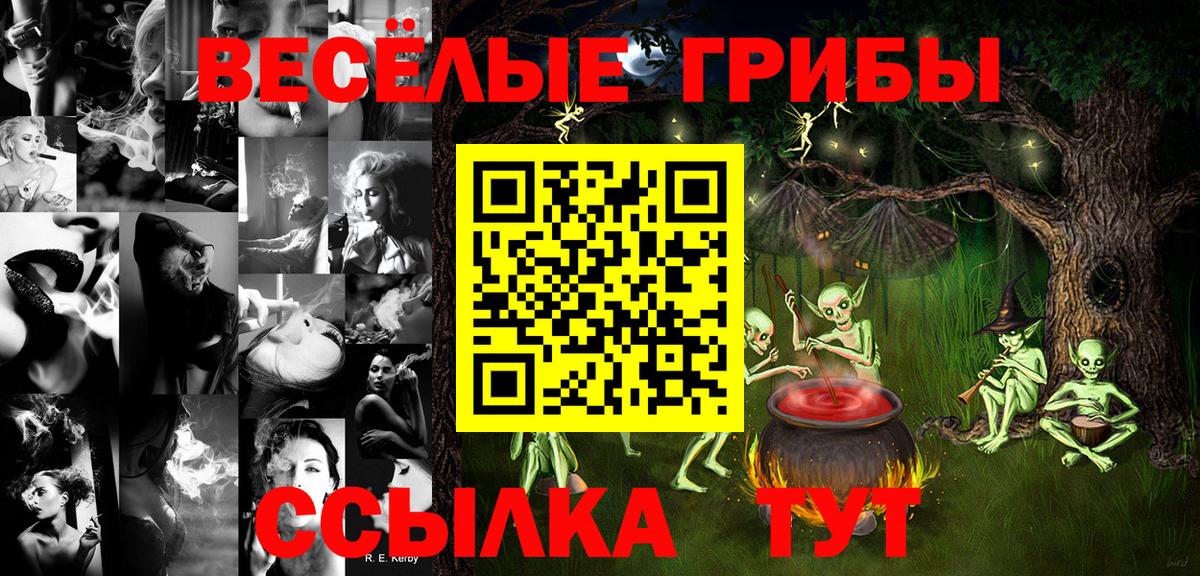 Карачаевск  Псилоцибиновые грибы Psilocybine cubensis  Вход с VPN 