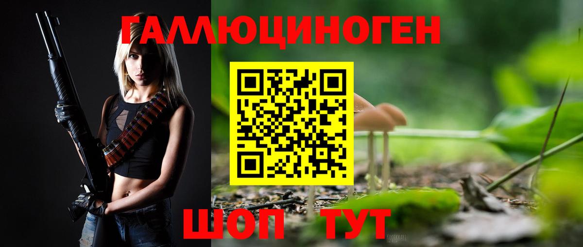Псилоцибиновые грибы Psilocybine cubensis Карачаевск